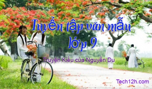 Viết bài văn thuyết minh giới thiệu những nét chính về tác phẩm Truyện Kiều của Nguyễn Du - bài mẫu 1