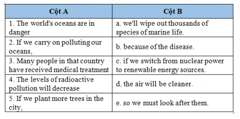 Giải VBT tiếng Anh 8 VNEN:  Test yourself 3 ( Unit 7,8,9)