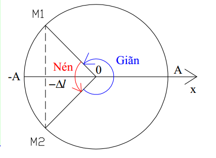 Bài 8: Đại cương về con lắc lò xo