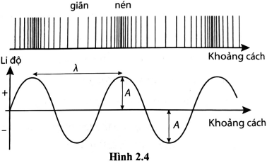 Một sóng dọc khi lan truyền trong không khí gây ra sự giãn/nén của các phân tử khí theo phương truyền sóng. Sóng này có thể được biểu diễn bằng mô hình sóng trên đồ thị li độ