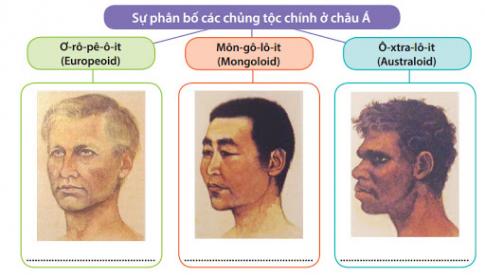 Giải câu 3 bài 5 trang 21 Sách phát triển năng lực địa lí 8