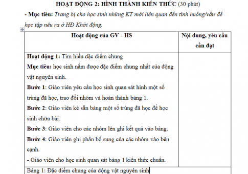 Giáo án PTNL bài 7: Đặc điểm chung, vai trò thực tiễn của động vật nguyên sinh