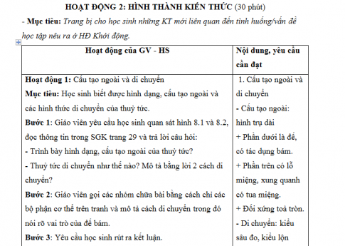 Giáo án PTNL bài 8: Thủy tức