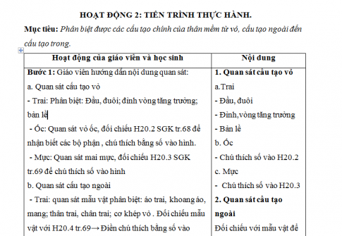 Giáo án PTNL bài 19: Một số thân mềm khác