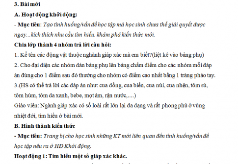 Giáo án PTNL bài 24: Đa dạng và vai trò của lớp giáp xác