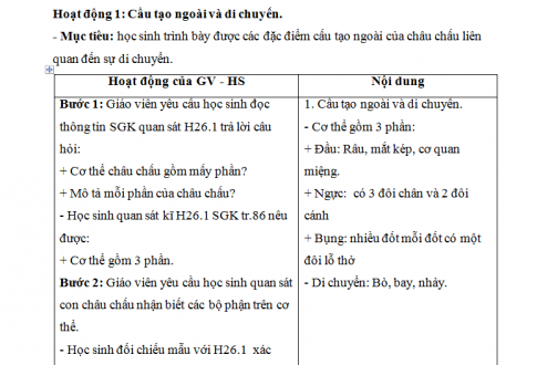 Giáo án PTNL bài 26: Châu chấu