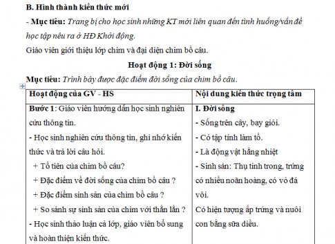 Giáo án PTNL bài 41: Chim bồ câu