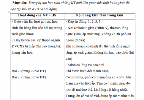 Giáo án PTNL bài: Ôn tập 