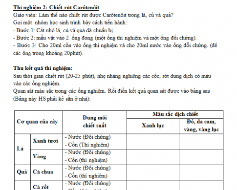 Giáo án PTNL bài 13: Thực hành  - Phát hiện diệp lục và carôtenôit