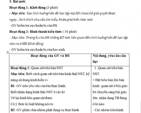 Giáo án PTNL bài 14: Thực hành - Quan sát hình thái nhiễm sắc thể