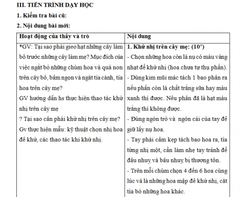 Giáo án PTNL bài 14: Thực hành lai giống