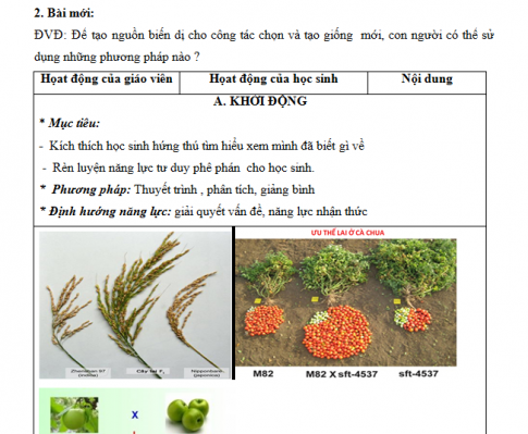 Giáo án PTNL bài 18: Chọn giống vật nuôi và cây trồng dựa trên nguồn biến dị tổ hợp