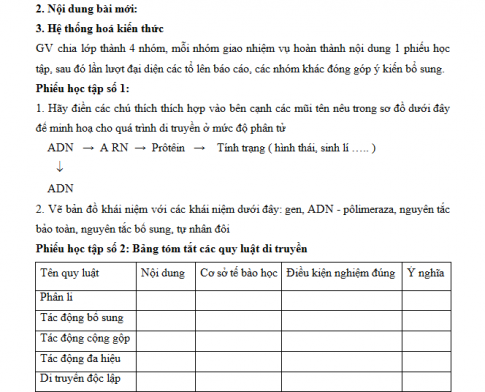 Giáo án PTNL bài 23: Ôn tập phần di truyền học