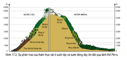 Giải bài 17 Đặc điểm tự nhiên Trung và Nam Mỹ