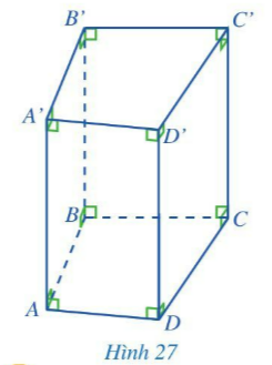 Giải bài 2 Hình lăng trụ đứng tam giác, hình lăng trụ đứng tứ giác