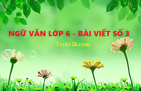 Tổng hợp những bài viết số 3 ngữ văn 6 hay nhất với đầy đủ các đề (7 đề)