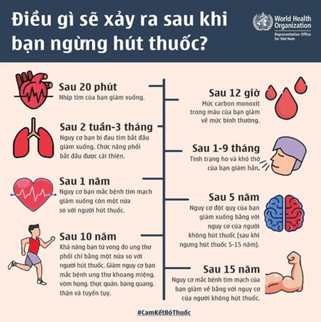 * Gợi ý áp phích tuyên truyền về tác hại của các chất gây nghiện đối với hệ thần kinh: