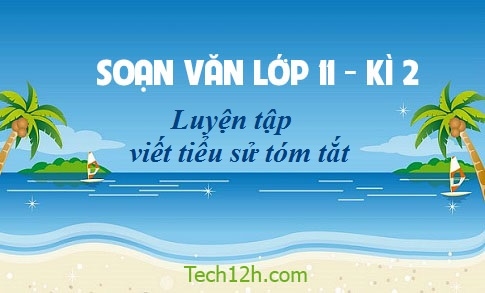 Soạn văn 11 bài: Luyện tập viết tiếu sử tóm tắt trang 63 sgk