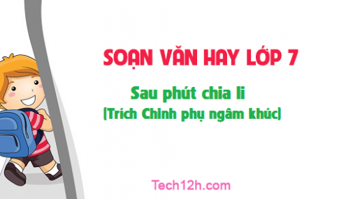 Soạn văn bài: Sau phút chia li