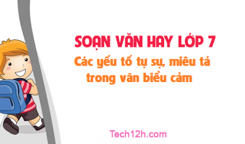 Soạn văn bài: Các yếu tố tự sự, miêu tả trong văn biểu cảm