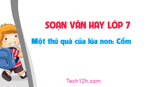 Soạn văn bài: Một thứ quà của lúa non: Cốm