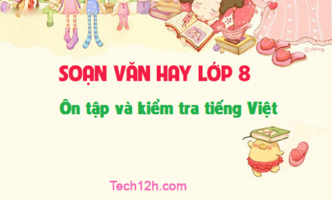 Soạn văn bài: Ôn tập và kiểm tra tiếng Việt