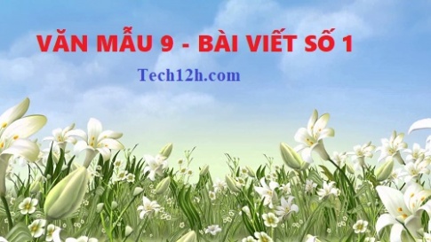 Tổng hợp những bài viết số 1 ngữ văn 9 hay nhất với đầy đủ các đề (4 đề)