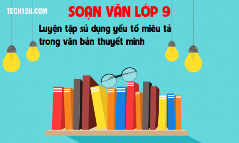 Soạn văn bài: Luyện tập sử dụng yếu tố miêu tả trong văn bản thuyết minh