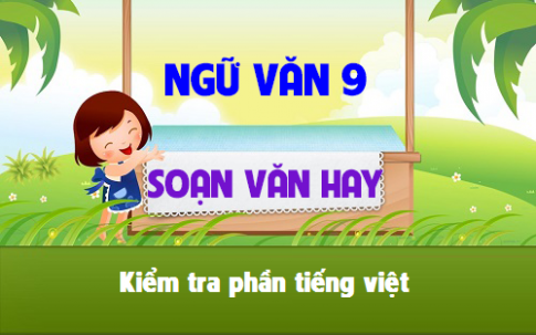 Soạn văn bài: Kiểm tra phần tiếng việt