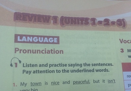 Review 1: Language